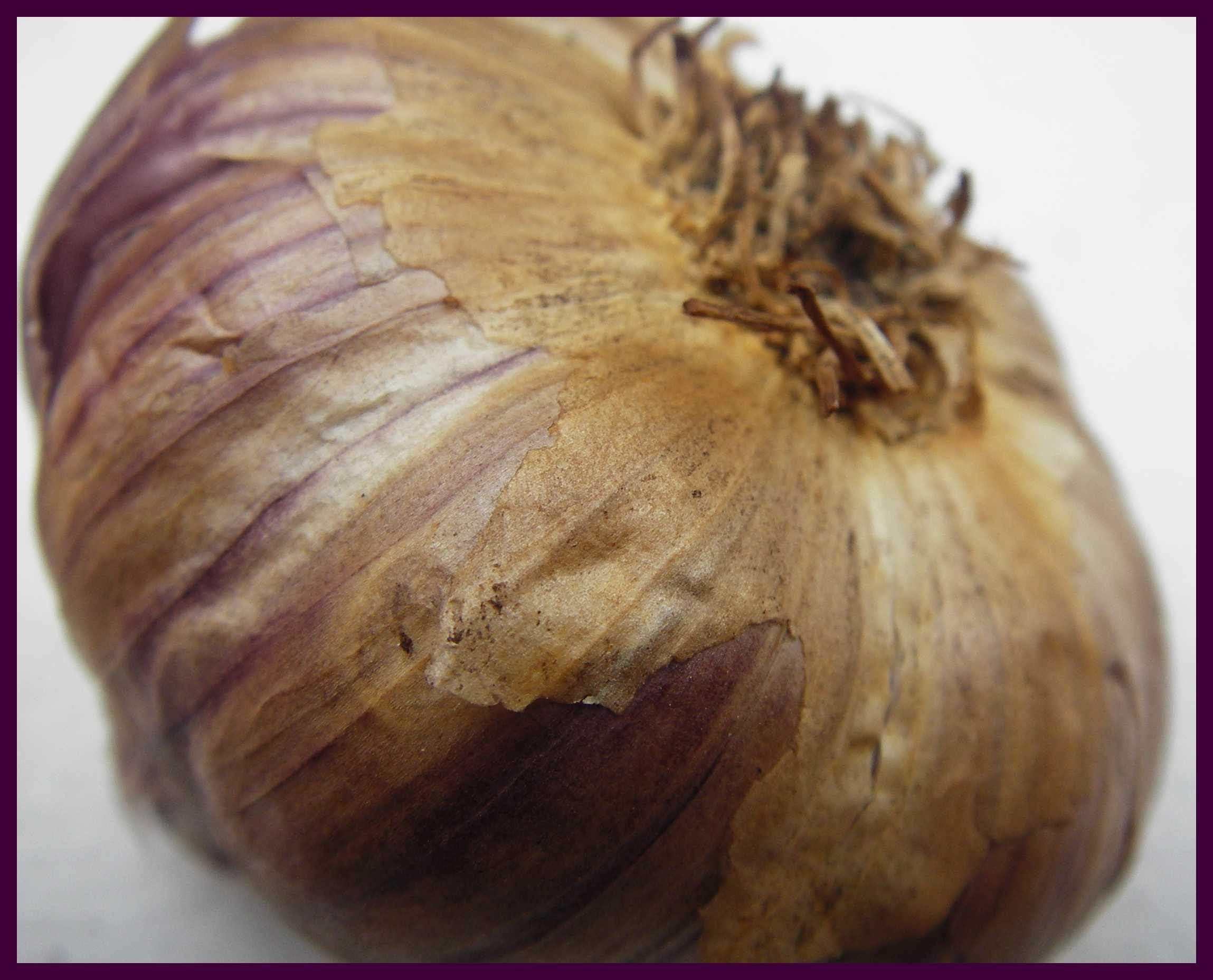 A Somewhat Smelly Sendoff: Smoked Garlic Soup