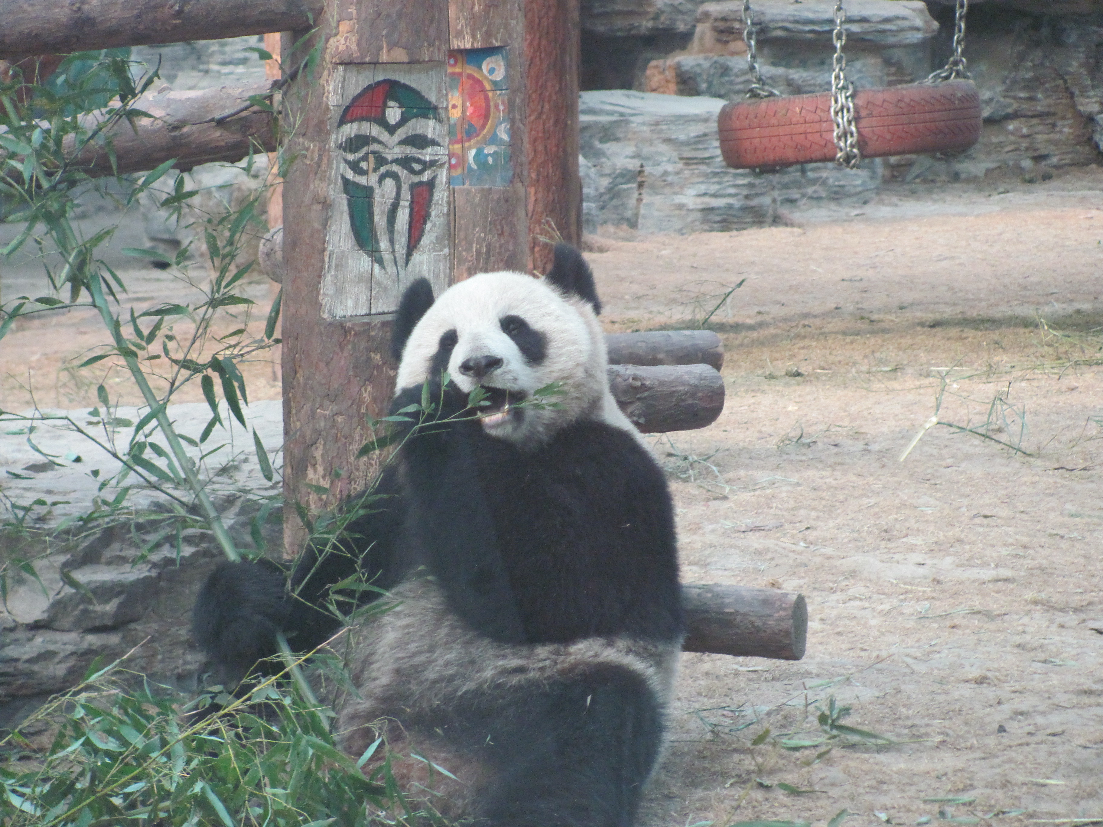 China Part 4: Beijing Foods, Hot Pot and Miscellany