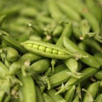 Pea Photo